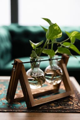 Solovei Nails Studio